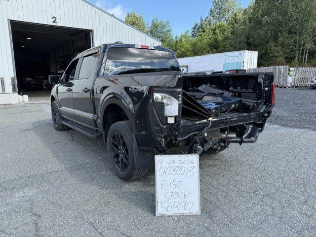Ford F-150 2025 - Image 53