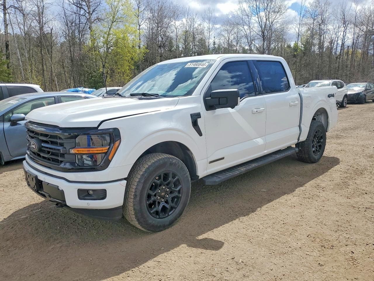 Ford F-150 2024 - Thumbnail 49